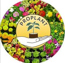 ProPlant May flower compilation
