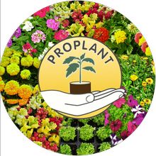 ProPlant May flower compilation