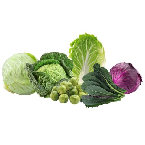 Τύποι Λάχανου Cabbage Types